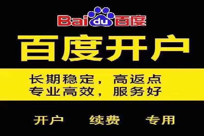 百度竞价托管助力品牌影响力提升案例